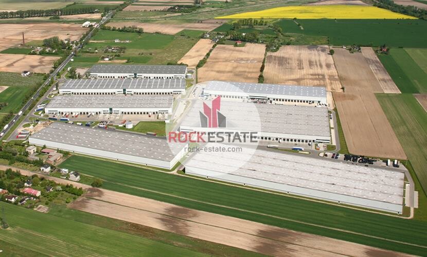 warszawski zachodni, Błonie, Kopytów, Warehouse for rent