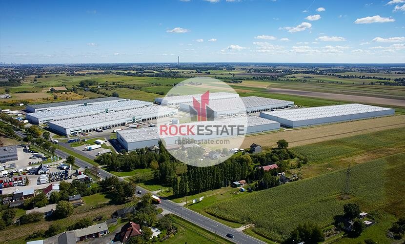 warszawski zachodni, Błonie, Kopytów, Warehouse for rent