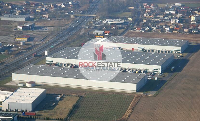 poznański, Tarnowo Podgórne, Sady, Magazyn na wynajem