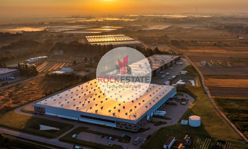 warszawski zachodni, Błonie, Błonie, Warehouse for rent
