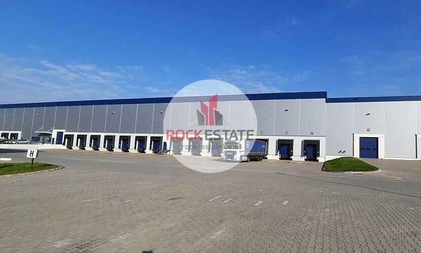 warszawski zachodni, Błonie, Radonice, Warehouse for rent