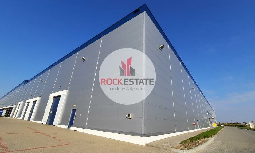 warszawski zachodni, Błonie, Radonice, Warehouse for rent