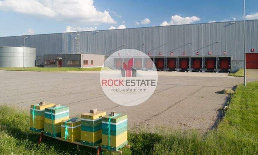 toruński, Łysomice, Łysomice, Warehouse for rent