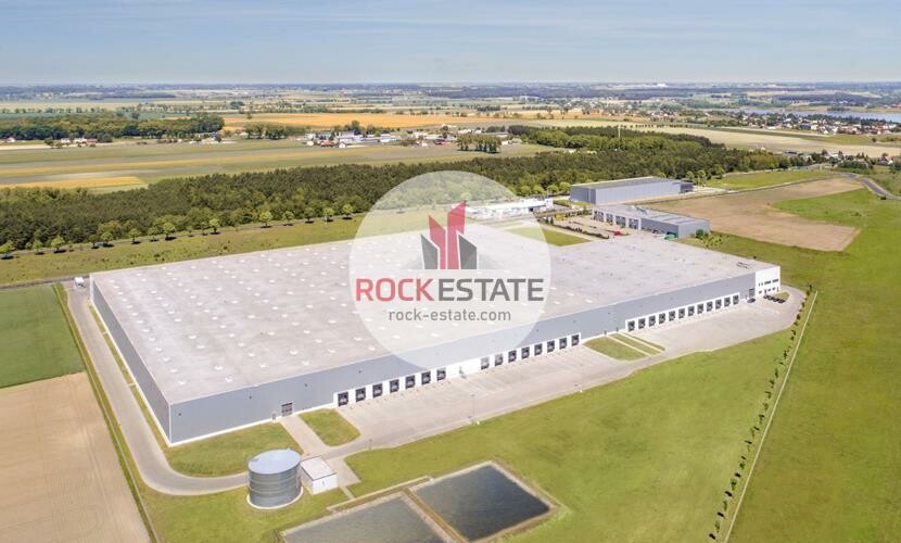 poznański, Buk, Niepruszewo, Warehouse for rent