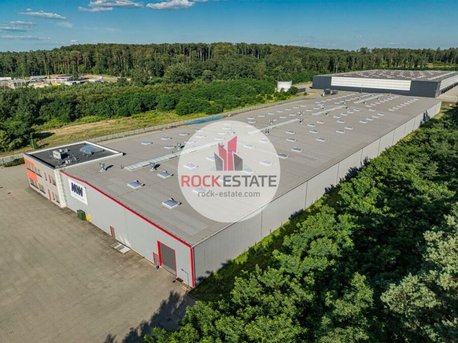słubicki, Słubice, Słubice, Warehouse for rent