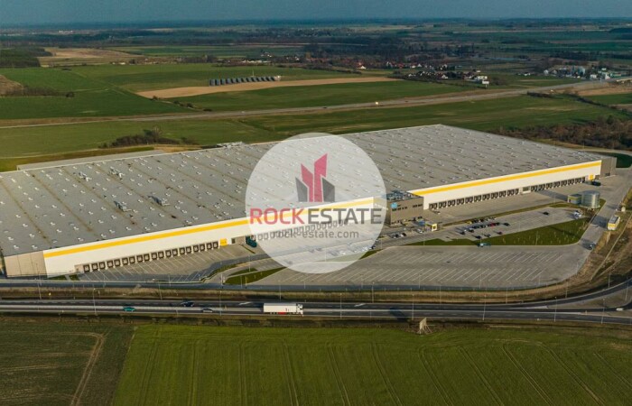 lubuskie, świebodziński, Warehouse for rent