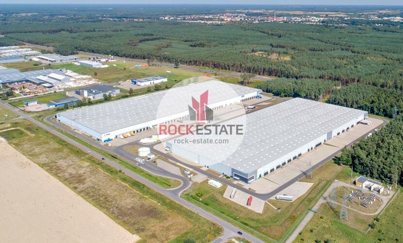 goleniowski, Goleniów, Łozienica, Magazyn na wynajem