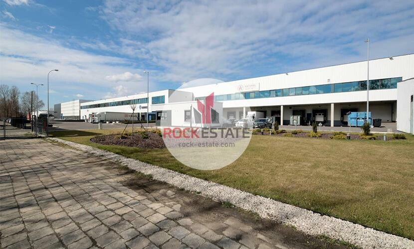 Warszawa, Targówek, Targówek, Magazyn na wynajem