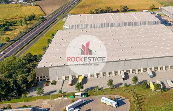 wielkopolskie, poznański, Warehouse for rent