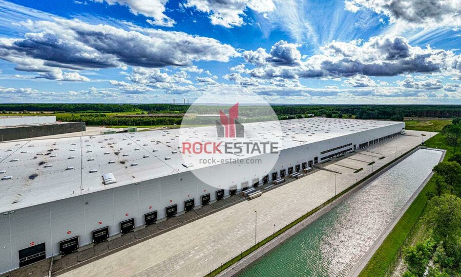 zielonogórski, Sulechów, Nowy Świat, Warehouse for rent