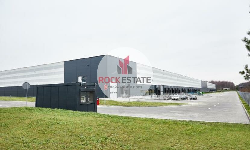 Mysłowice, Warehouse for rent