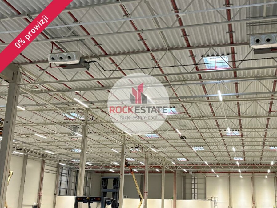 policki, Kołbaskowo, Ustowo, Warehouse for rent