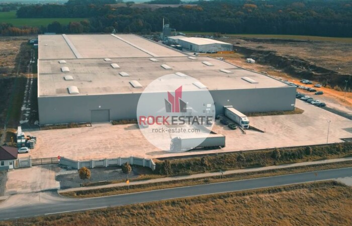 lubuskie, nowosolski, Warehouse for rent