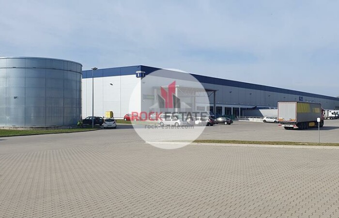 wielkopolskie, poznański, Magazyn na wynajem