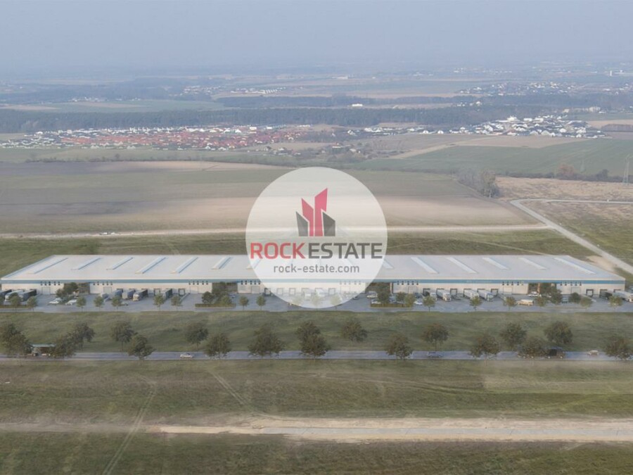 poznański, Dopiewo, Więckowice, Magazyn na wynajem