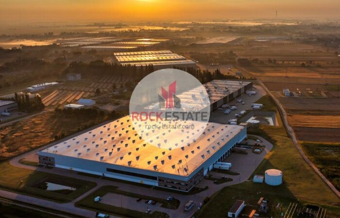 mazowieckie, warszawski zachodni, Warehouse for rent
