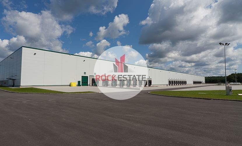 goleniowski, Goleniów, Łozienica, Warehouse for rent