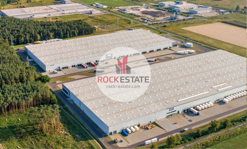 goleniowski, Goleniów, Łozienica, Warehouse for rent
