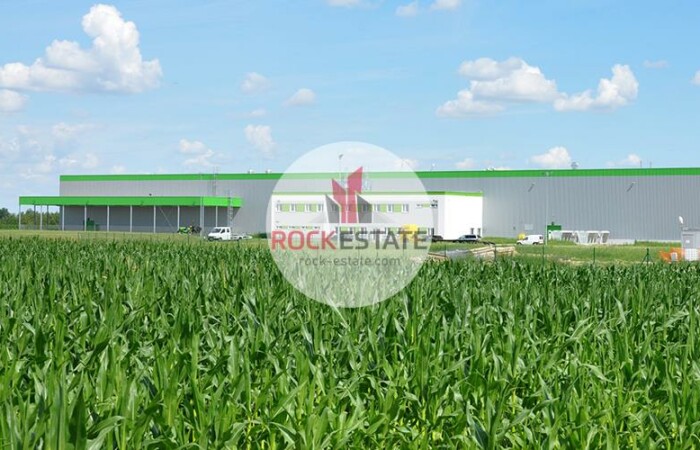mazowieckie, warszawski zachodni, Warehouse for rent