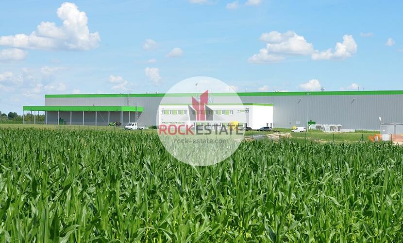 warszawski zachodni, Kampinos, Stare Gnatowice, Warehouse for rent