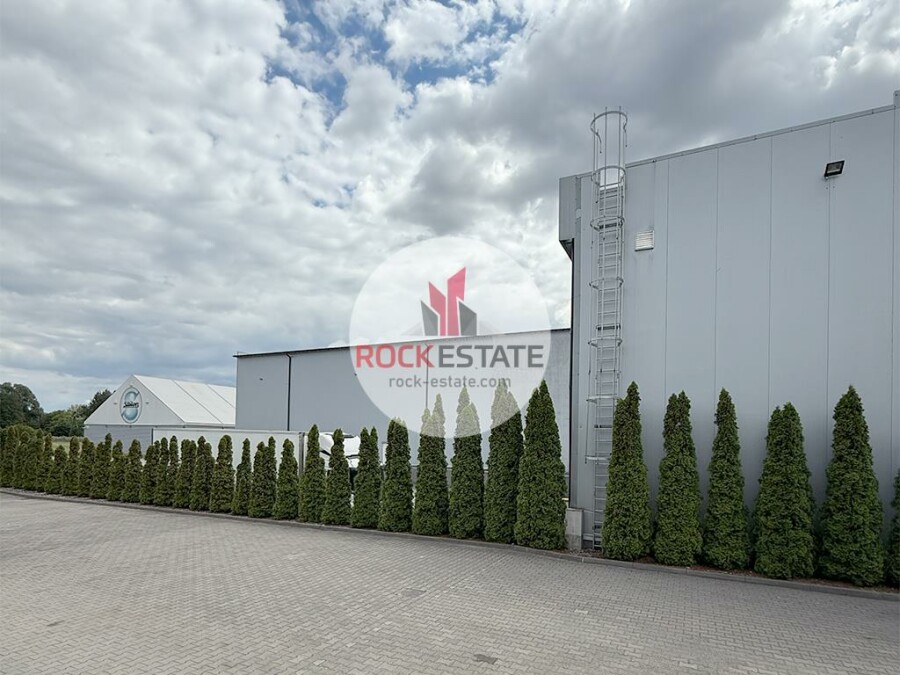 zgierski, Aleksandrów Łódzki, Aleksandrów Łódzki, Warehouse for rent