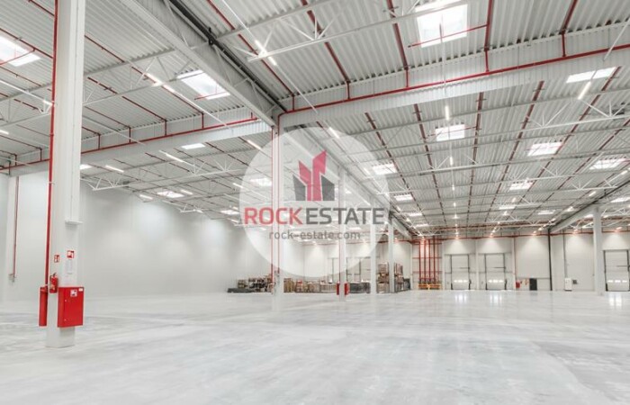 śląskie, kłobucki, Warehouse for rent
