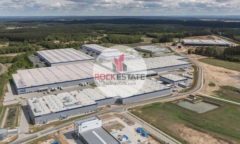 Zielona Góra, Warehouse for rent