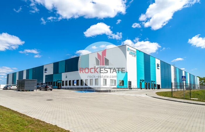 Zabrze, śląskie, Warehouse for rent