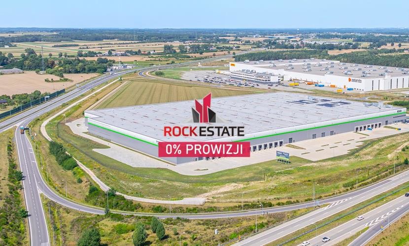 łódzki wschodni, Tuszyn, Głuchów, Warehouse for rent