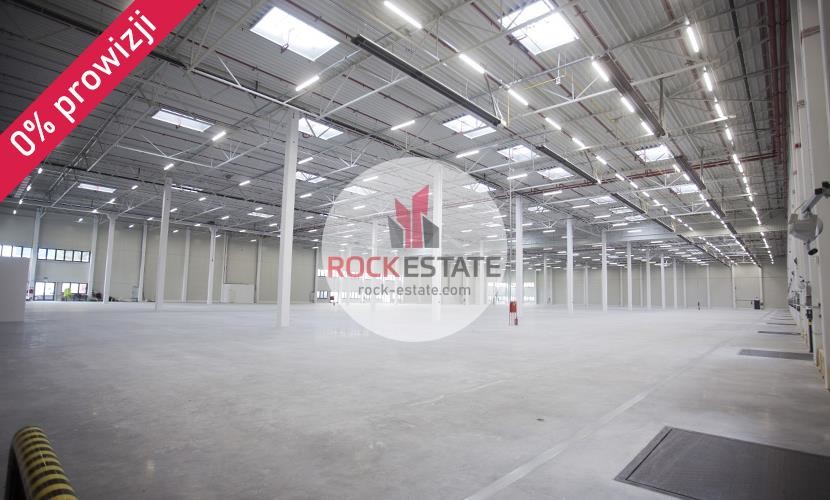 Łódź, Łódź-Polesie, Łódź-Polesie, Warehouse for rent