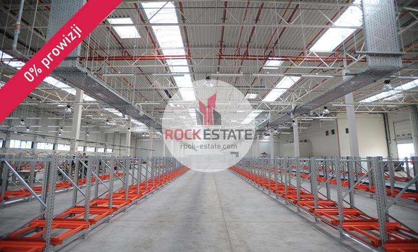 wołomiński, Radzymin, Ciemne, Warehouse for rent