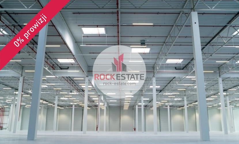 poznański, Tarnowo Podgórne, Swadzim, Warehouse for rent