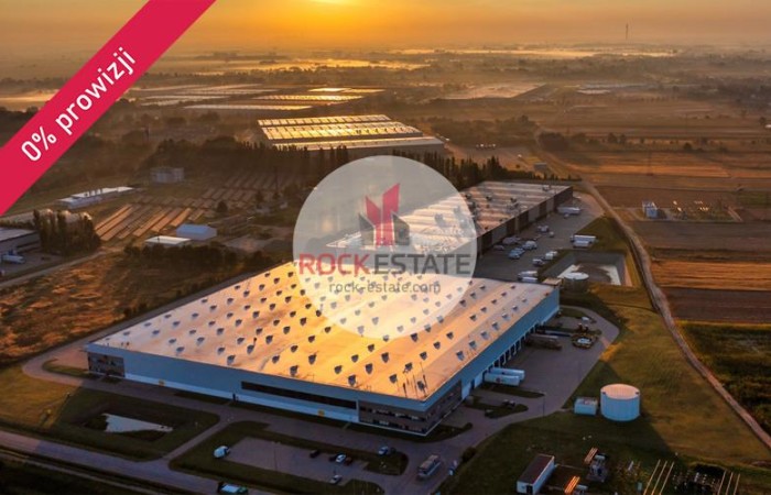 Błonie, Błonie, Warehouse for rent