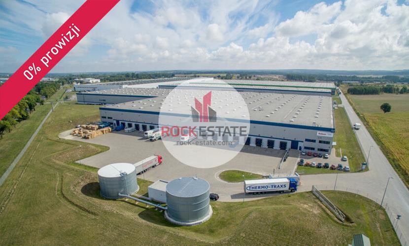 zgierski, Stryków, Sosnowiec, Magazyn na wynajem