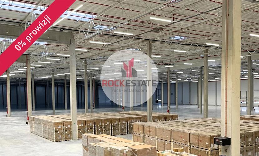 Gdańsk, Stogi, Warehouse for rent