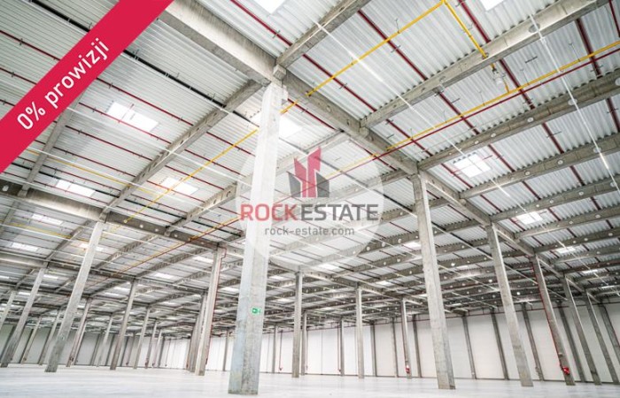 Kobyłka, Kobyłka, Warehouse for rent