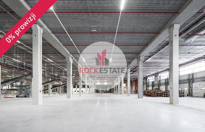 Swadzim, Tarnowo Podgórne, Magazyn na wynajem