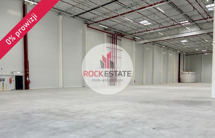 Mszczonów, Mszczonów, Magazyn na wynajem