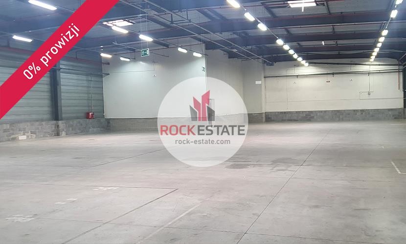 warszawski zachodni, Błonie, Radonice, Magazyn na wynajem