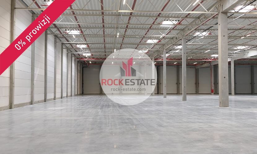 warszawski zachodni, Błonie, Radonice, Magazyn na wynajem