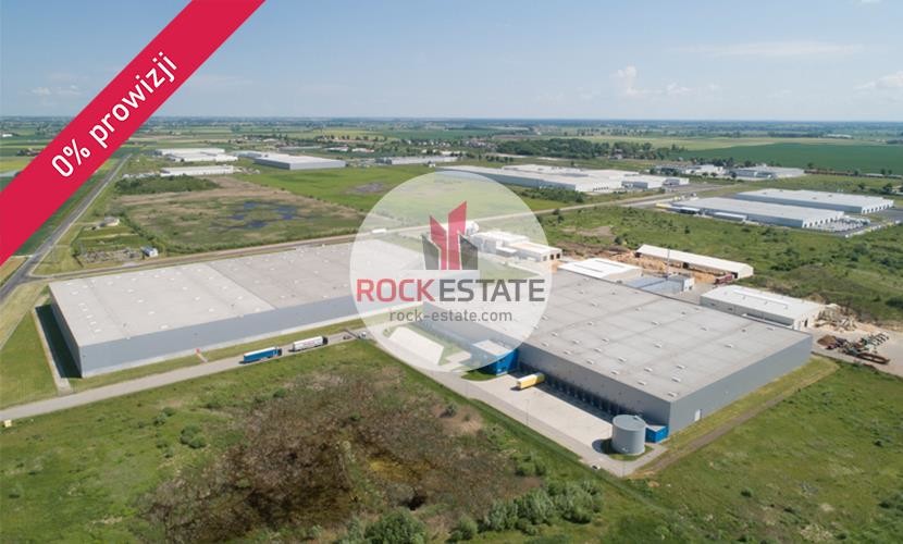 toruński, Łysomice, Łysomice, Magazyn na wynajem