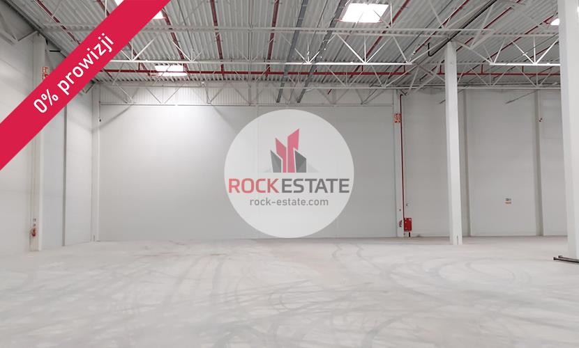 zgorzelecki, Zgorzelec, Zgorzelec, Magazyn na wynajem