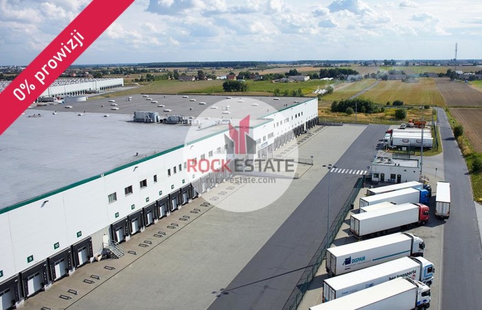 łódzkie, Piotrków Trybunalski, Magazyn na wynajem