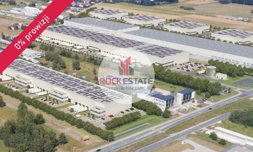 pruszkowski, Raszyn, Wypędy, Magazyn na wynajem