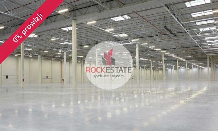 oleśnicki, Syców, Syców, Warehouse for rent