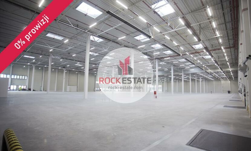 Dąbrowa Górnicza, Warehouse for rent