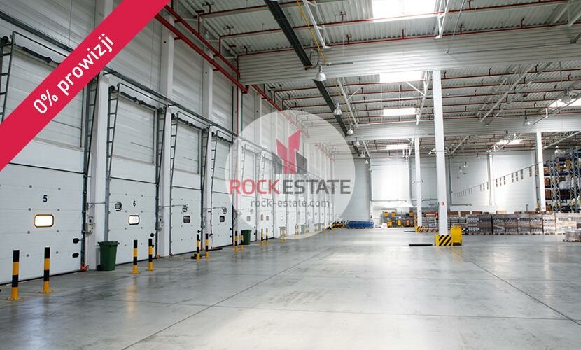 Zabrze, Warehouse for rent