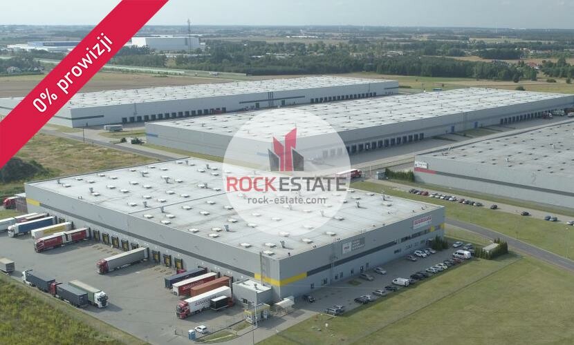 Piotrków Trybunalski, Warehouse for rent