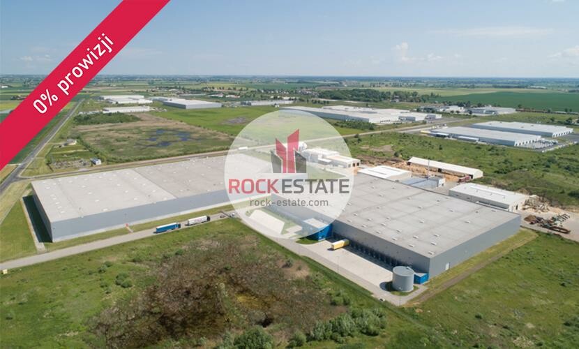 toruński, Łysomice, Łysomice, Magazyn na wynajem