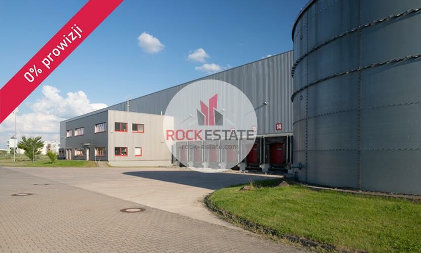 toruński, Łysomice, Łysomice, Magazyn na wynajem